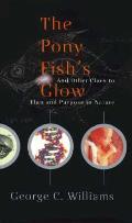 Pony Fishes Glow & Other Clues To Plan &