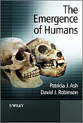 The Emergence of Humans: An Exploration of the Evolutionary Timeline