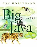 Big Java 3rd Edition