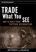 Trade What You See How to Profit from Pattern Recognition