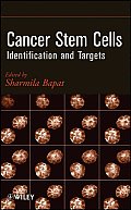 Cancer Stem Cells: Identification and Targets