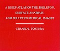 Brief Atlas of the Human Skeleton Surface Anatomy & Selected Medical Images