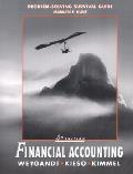 Financial Accounting: Problem-Solving Survival Guide