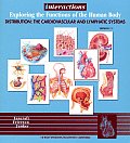 Interactions: Exploring the Functions of the Human Body, Distribution: The Cardiovascular and Lymphatic Systems