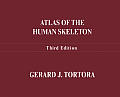 Atlas Of The Human Skeleton 3rd Edition