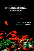 Primer On Organizational Behavior 6th Edition
