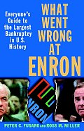What Went Wrong at Enron Everyones Guide to the Largest Bankruptcy in U S History