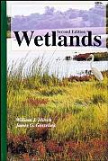Wetlands 2nd Edition