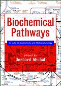 Biochemical Pathways An Atlas Of Bioch