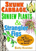 Skunk Cabbage Sundew Plants & Strangler