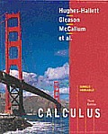 Calculus Single Variable 3rd Edition