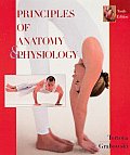 Principles Of Anatomy & Physiology 10th Edition