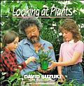 Looking At Plants