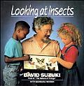 Looking At Insects