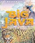 Big Java 2nd Edition