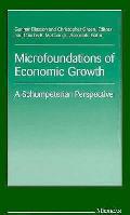 Microfoundations Of Economic Growth