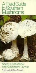 Field Guide To Southern Mushrooms