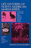 Life Histories of North American Marsh Birds
