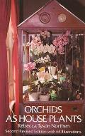 Orchids As House Plants