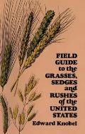 Field Guide to the Grasses Sedges & Rushes of the Northern United States