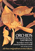 Orchids Of Guatemala & Belize