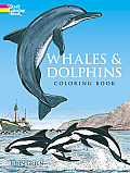 Whales & Dolphins Coloring Book