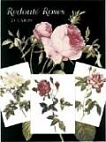 Redoute Roses Postcards In Full Color