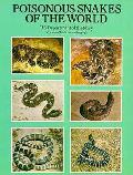 Poisonous Snakes Of The World