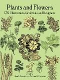 Plants & Flowers 1761 Illustrations for Artists & Designers
