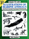 Ready To Use Illustrations of Marine Animals 96 Different Copyright Free Designs Printed One Side
