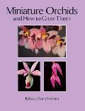 Miniature Orchids & How To Grow Them