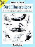 Ready To Use Bird Illustrations 98 Diffe