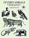 Cuviers Animals 867 Illustrations Fro