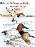 North American Ducks, Geese and Swans Coloring Book
