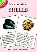 Learning About Shells