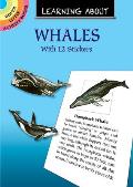 Learning about Whales [With Whales]