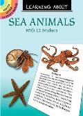 Learning About Sea Animals