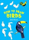 How To Draw Birds