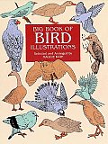 Big Book Of Bird Illustrations