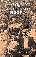Social History Of The American Negro