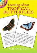 Learning about Tropical Butterflies With Stickers