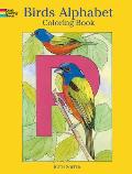 Birds Alphabet Coloring Book