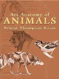 Art Anatomy Of Animals
