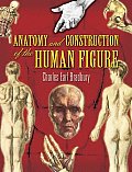 Anatomy & Construction of the Human Figure
