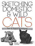 Sketching Domestic & Wild Cats Pen & Pencil Techniques