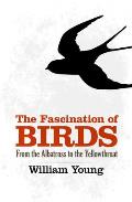The Fascination of Birds: From the Albatross to the Yellowthroat