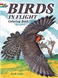 Birds in Flight Coloring Book