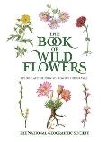Book of Wild Flowers Color Plates of 250 Wild Flowers & Grasses