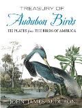 Treasury of Audubon Birds 130 Plates from The Birds of America