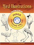 Bird Illustrations Cdrom & Book